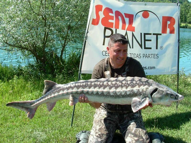 SPANIA IUNIE - snz-spania-planet.jpg